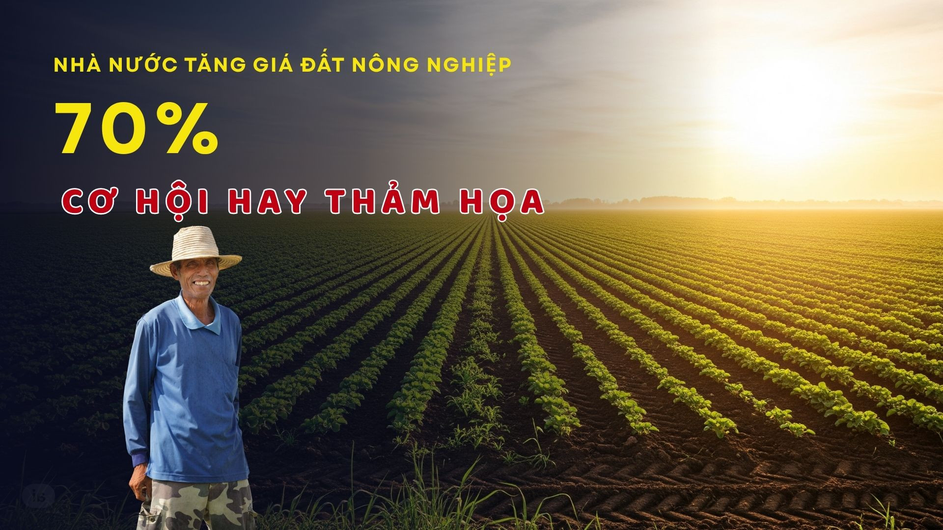 Nhà nước tăng giá đất nông nghiệp 70% Cơ hội hay Thảm họa